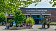 LWL-Museum für Naturkunde in Münster.