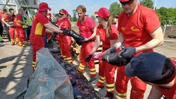 Kräfte vom DLRG mit Sandsäcken in der Hand bei ihrer Katastrophenschutz-Übung. Sie haben rote Einsatzkleidung an und reichen sich die Säcke in einer Kette an.