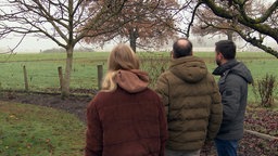 Drei Personen von hinten, während sie auf ein Feld schauen.