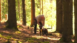Mann steht mit Hund in einem Wald