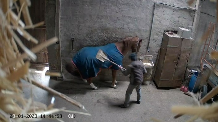 Ein Mann schlägt ein Pferd mit einer Schippe.