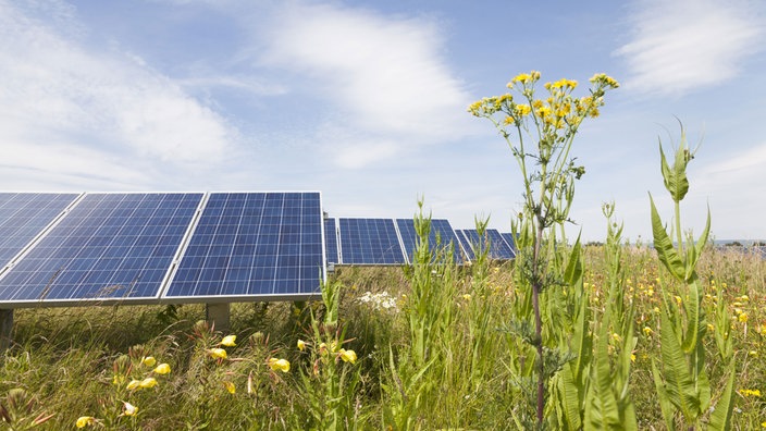 Bürgebegehren gegen Photovoltaikanlage(n) in Bad Laasphe