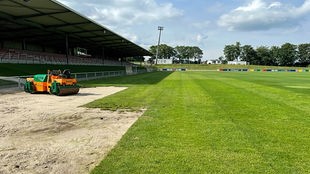 Der Rasen im Hembergstadion wurde erst kürzlich neu verlegt