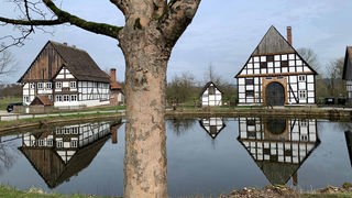 Zwei Fachwerkhäuser reflektieren sich in einem See mit Baum im Vordergrund