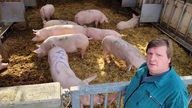 Ein Schweinezüchter im Stall vor seinen Schweinen. 