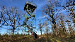 Rabenhain-Turm in Vollansicht 