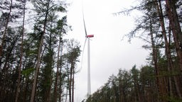 Eine Windkraftanlage zwischen Bäumen.