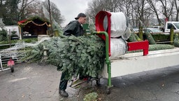 Ein Mann schiebt einen Tannenbaum durch eine Netztrommel.