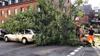 Männer von der Stadt zersegen einen Baum welcher auf einem silbernen Mercedes gestürtzt ist.