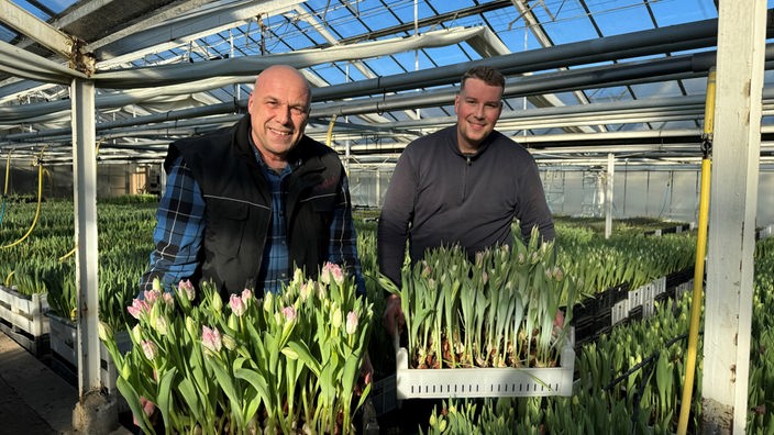 Familie Schwagmeier präsentiert Tulpen aus der eigenen Gärtnerei.