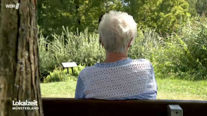 Eine Rentnerin sitzend auf einer Bank von hinten. 