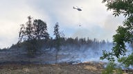 Ein Hubschrauber löscht einen brennenden Wald