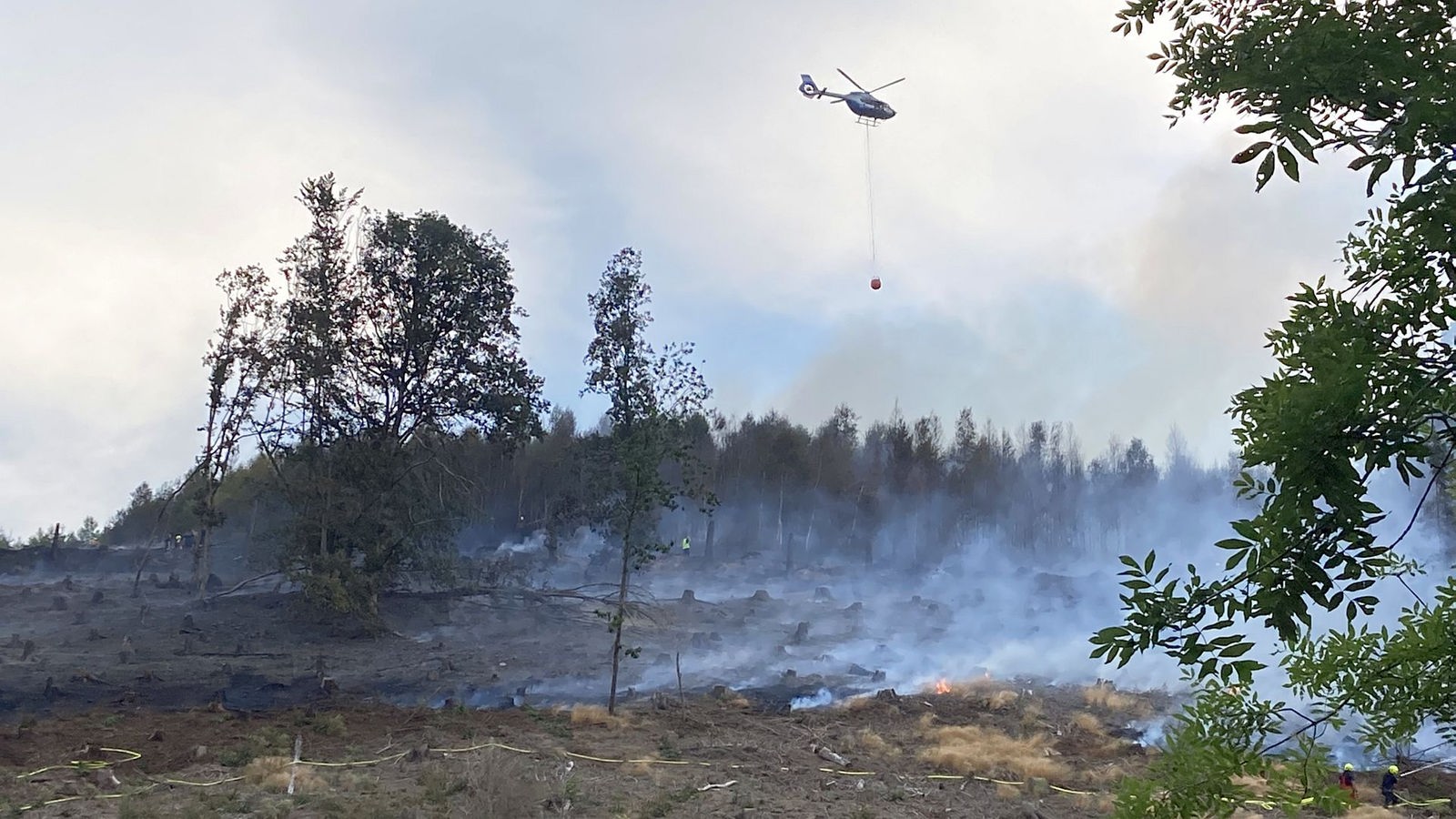 Incendies de forêt – pas d’avions de lutte contre les incendies, trop peu d’hélicoptères en NRW – nouvelles