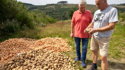 Ein großer Berg Kartoffeln sorgt für Ratlosigkeit