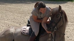 Eine Frau sitzt auf einem Pferd und füttert es