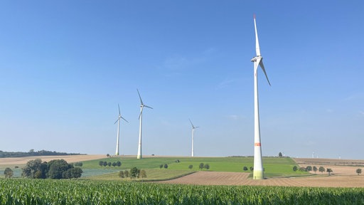 Vier Windräder stehen auf einem Feld