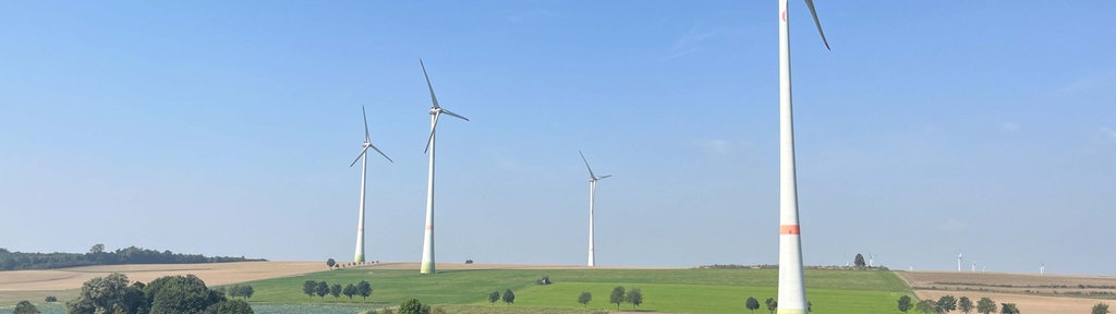 Vier Windräder stehen auf einem Feld