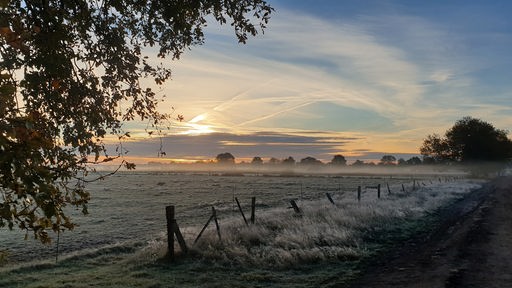 Das Recker Moor an einem frostigen Morgen, Nebel und Sonne steigen gleichzeitig auf