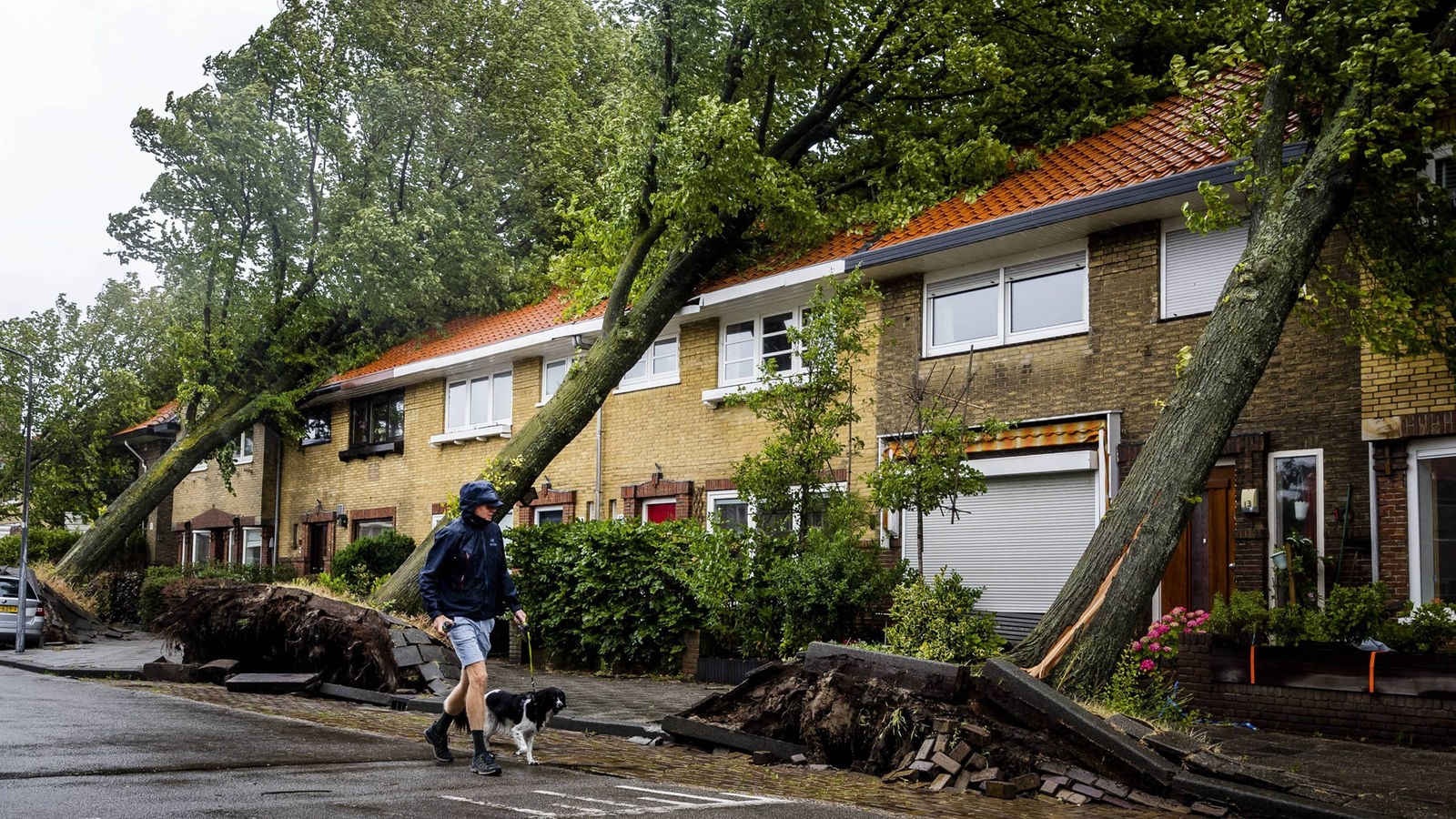 Storm “Poli”: geen ernstige schade in Noordrijn-Westfalen – Nieuws – WDR – Nieuws