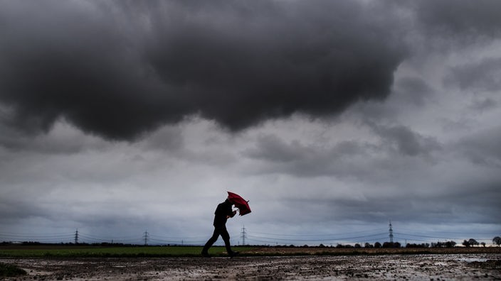 Ein Spaziergänger geht beistarkem Regen über einen Feldweg mit seinem Schirm.