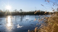 Warendorf: An den überfluteten Emsauen der Ems hat sich eine Eisschicht auf dem Wasser gebildet.