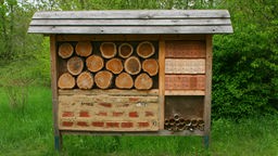 Wildbienen-Nistwand; praktischer Artenschutz