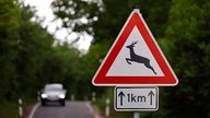 Verkehrszeichen für 'Achtung, Wildwechsel'