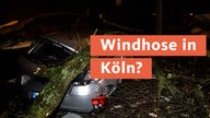 Windhose in Köln-Poll? 