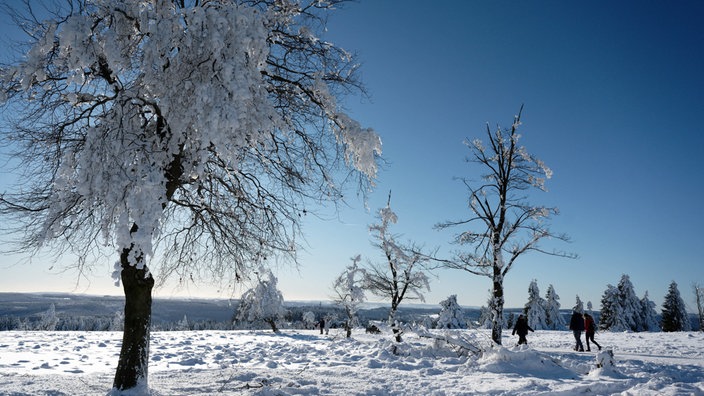 So Schön Ist Das Winterwetter In NRW - Nachrichten - WDR