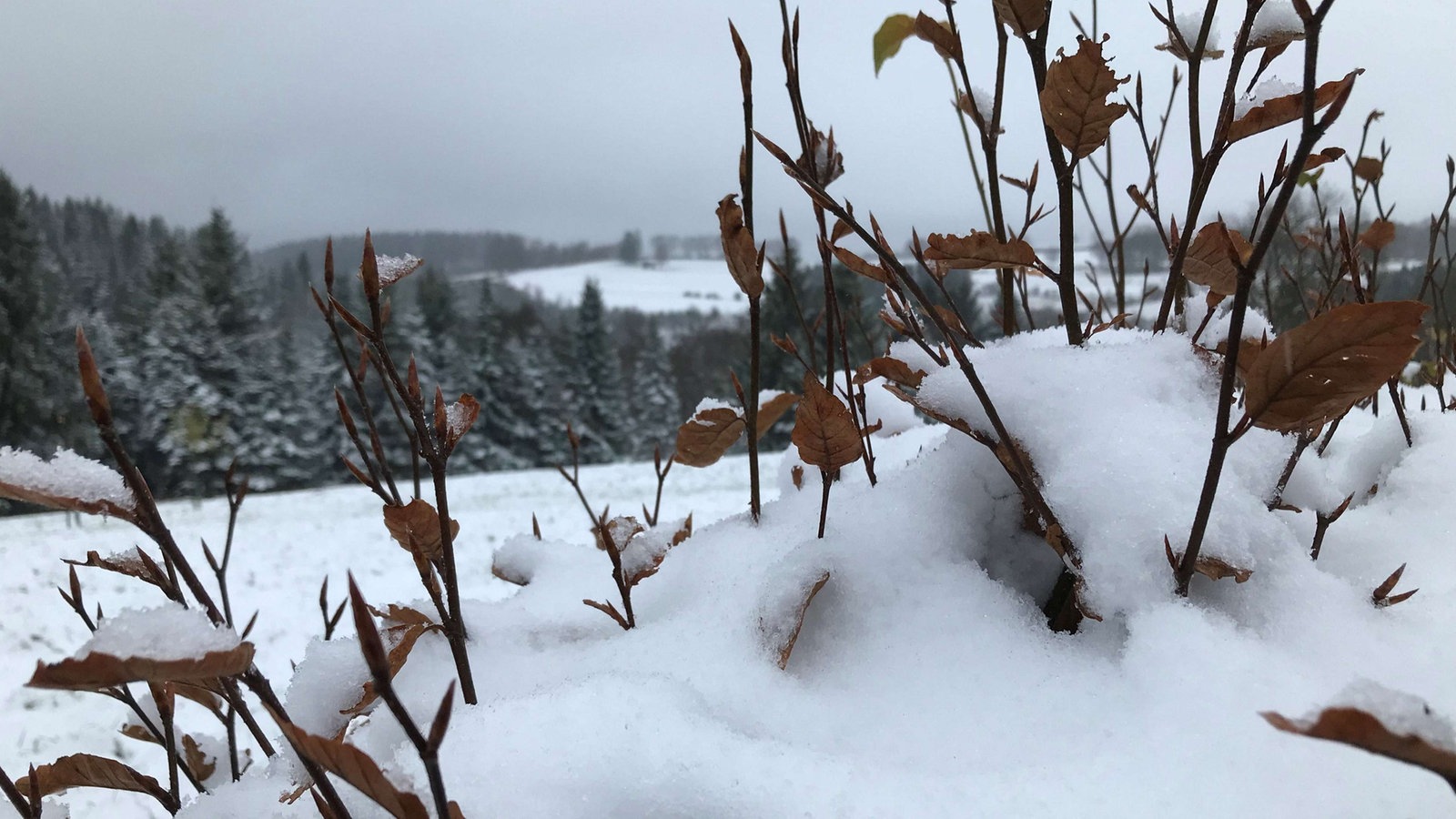 Schnee in NRW Hier ist es im Westen schon winterlich weiß