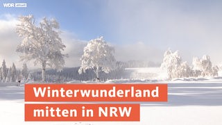 Eine winterliche Landschaft in NRW. Darüber die Schrift "Winterwunderland in NRW"
