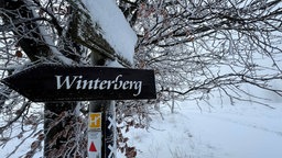 Verschneites Schild bei Winterberg