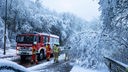 Dreis-Tiefenbach: Feuerwehrleute stehen neben einem schneebedeckten Ast, der über eine Straße ragt (Archivbild)