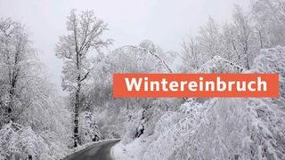 Verschneite Straße in NRW