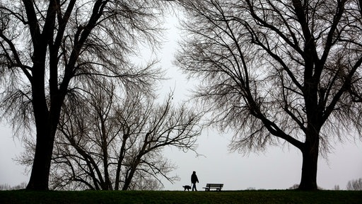 Frau mit Hund beim Spaziergang im tristen Winterwetter bei Nebel