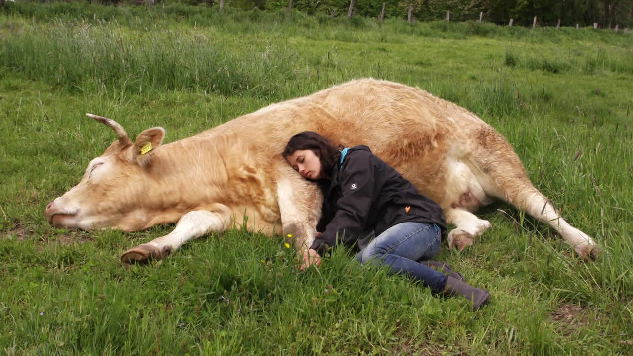 Julie Siemering und eine Kuh liegen aneinandergeschmiegt auf der Wiese
