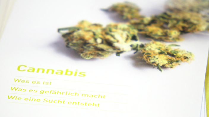 Zu sehen ist Cannabis