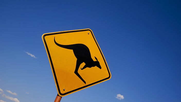 1LIVE Stufen zum Glück: Koala und Känguru in Australien