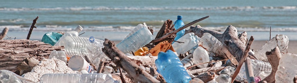 Plastikflaschen und anderer Müll liegen an einem Strand.