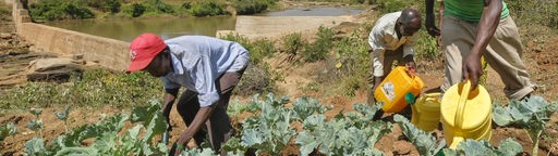 Wir helfen. Gemeinsam gegen den Hunger in der Welt. -  Drei Männer auf einem Feld bewässern Kohlpflanzen. 