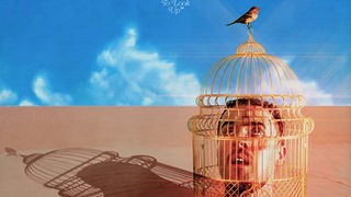 Maverick Sabre - "Don't Forget to Look Up" - Kopf von Sabre in einem Vogelkäfig gefangen, nach obend schauend zu einem Vogel. 
