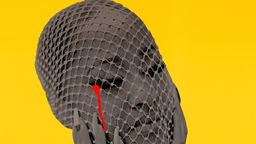 Rapsody: "Please Don't Cry" - Albumcover. Die sängerin mit Netzmaske vor dem Gesicht auf gelbem Hintergrund.