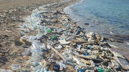 Plastikmüll ans Meeresufer herangeschwemmt