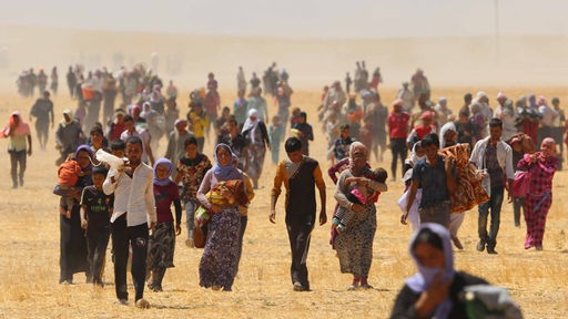 Hunderte Jesiden auf der Flucht vor dem IS in Sinjar 2014