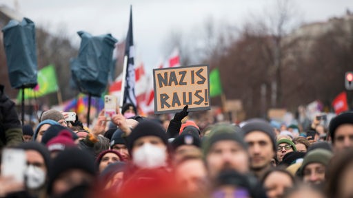 Demo gegen AfD - Transparent "Nazis Raus!"
