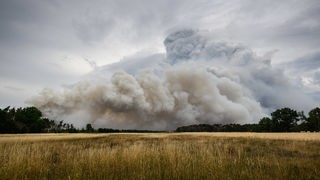 L'incendio boschivo del 24 giugno a Gohrischheide in Sassonia