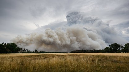 L'incendio boschivo del 24 giugno a Gohrischheide in Sassonia