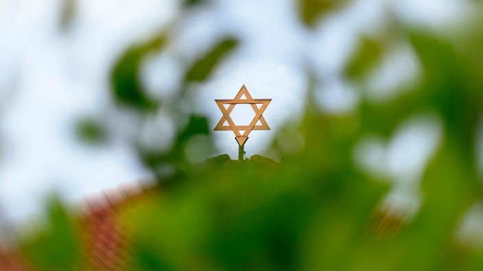 Davidova zvezda na sinagogi snimljena kroz krošnju drveta