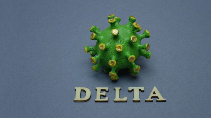 3D-Model der Delta-Variante des Coronavirus'