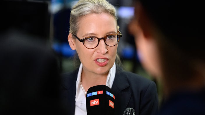 Alice Weidel, AfD